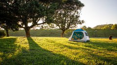 <b>：常靠AI选小家电</b> 